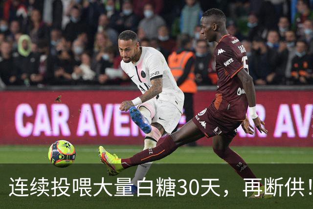 连续投喂大量白糖30天,再断供!国外网红扮“蚂蚁天神”整蛊野生蚁群